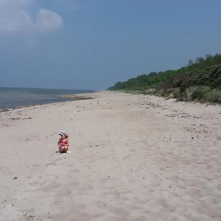 Apartment Haus Zum Muschel Dassow